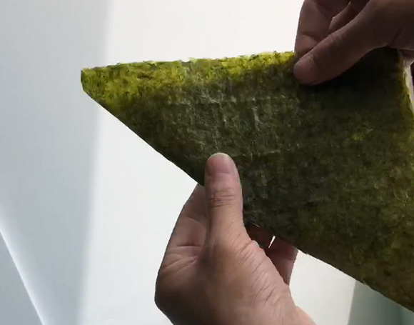 video-2.jpg